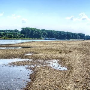 Zu trockene Flüsse – Hohe Preise wie 2018?