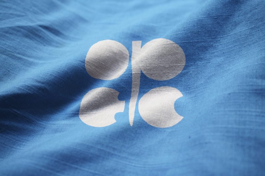 OPEC+ beschließt neue Förderkürzung