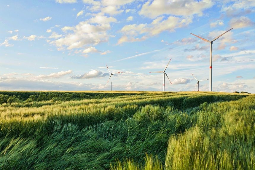 Ausbau für Windkraft: Deutsche Umwelthilfe fordert Abschaffung von Abstandsregeln und keine unnötig langen Übergangsfristen